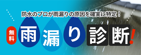 雨漏り診断