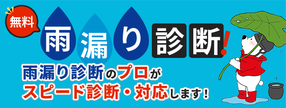 雨漏り診断