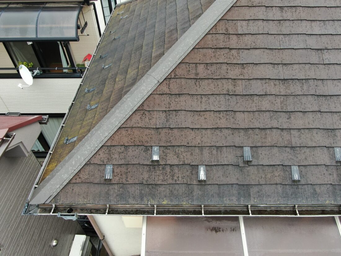 屋根の苔が生えやすい地域の特徴