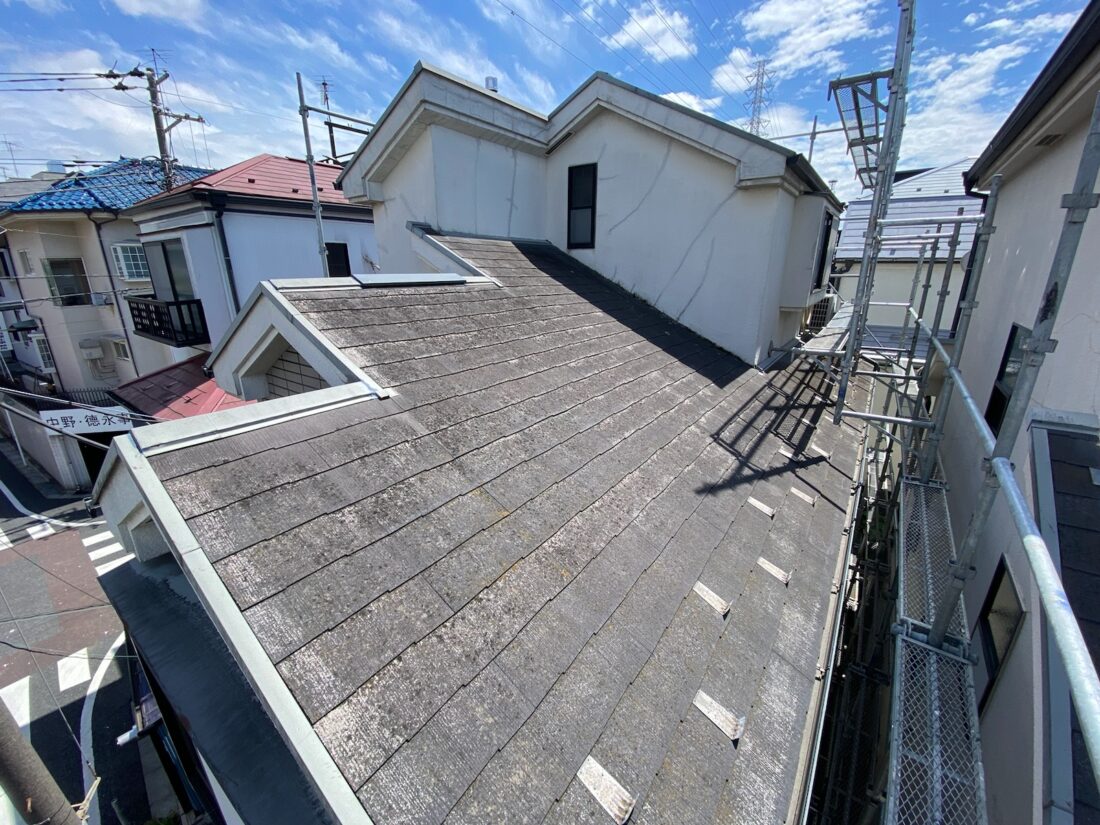 苔やカビが増えてきた屋根はどこまで進行している？