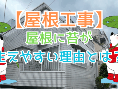 板橋区で屋根に苔が生えやすい理由〜地域特性と屋根劣化の関係を徹底解説〜